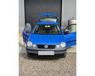 VW Polo Gebrauchtwagen