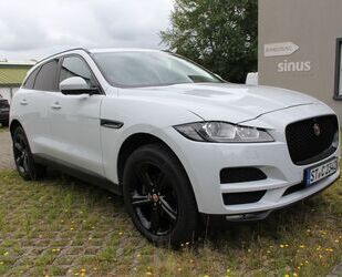 Jaguar F-Pace Gebrauchtwagen