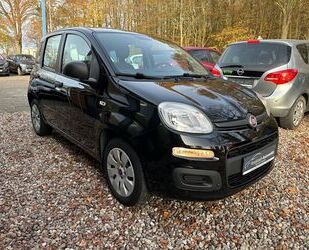 Fiat Panda Gebrauchtwagen