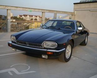 Jaguar XJS Gebrauchtwagen