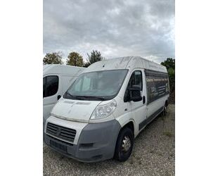 Fiat Ducato Gebrauchtwagen