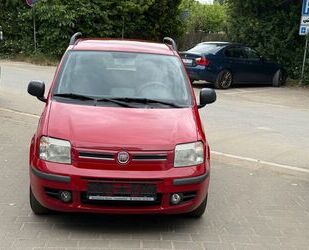 Fiat Panda Gebrauchtwagen
