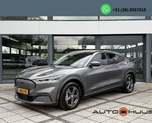 Ford Mustang Mach-E Gebrauchtwagen