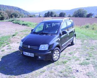 Fiat Panda Gebrauchtwagen