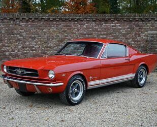Ford Mustang Gebrauchtwagen