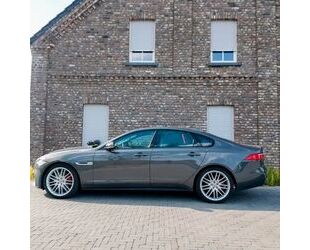 Jaguar XF Gebrauchtwagen