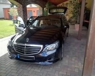 Mercedes-Benz E 500 Gebrauchtwagen
