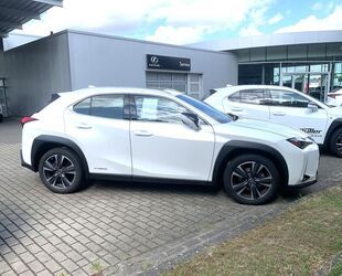 Lexus UX Gebrauchtwagen