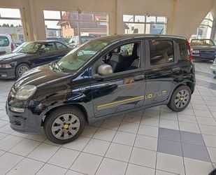 Fiat Panda Gebrauchtwagen