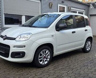 Fiat Panda Gebrauchtwagen