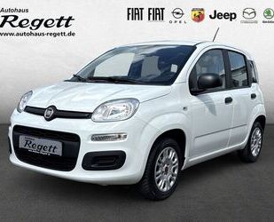 Fiat Panda Gebrauchtwagen