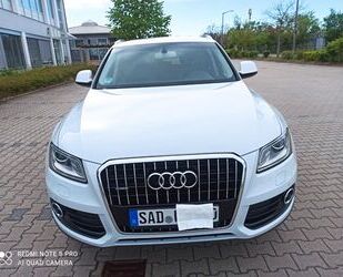 Audi Q5 Gebrauchtwagen