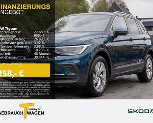 VW Tiguan Gebrauchtwagen