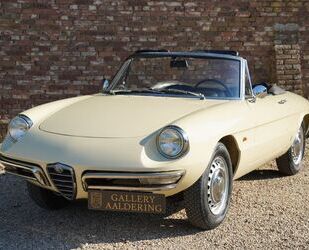 Alfa Romeo Spider Gebrauchtwagen