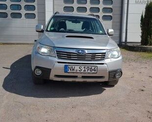 Lamborghini Forester 