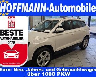 Skoda Karoq Gebrauchtwagen