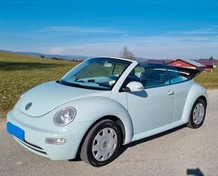VW Beetle Gebrauchtwagen