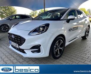 Ford Puma Gebrauchtwagen