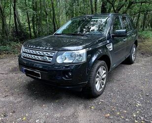 Land Rover Freelander Gebrauchtwagen