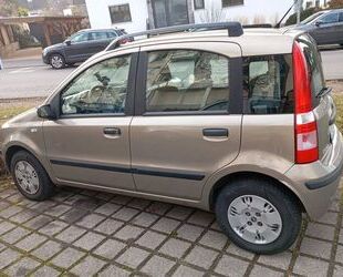 Fiat Panda Gebrauchtwagen