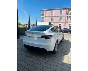 Tesla Model Y Gebrauchtwagen