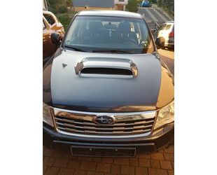 Subaru Forester Gebrauchtwagen