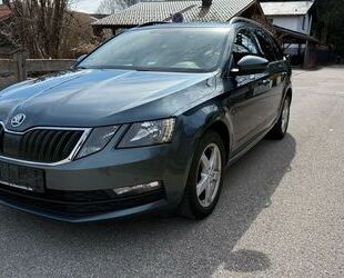 Skoda Octavia Gebrauchtwagen
