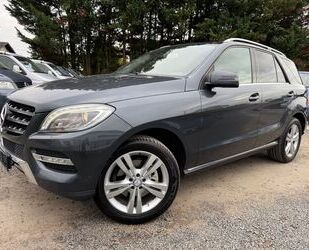 Mercedes-Benz ML 350 Gebrauchtwagen