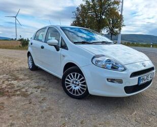 Fiat Punto Gebrauchtwagen