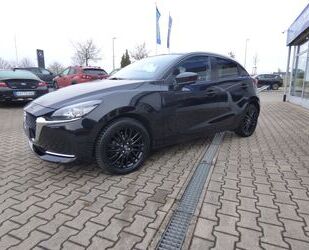 Mazda 2 Gebrauchtwagen