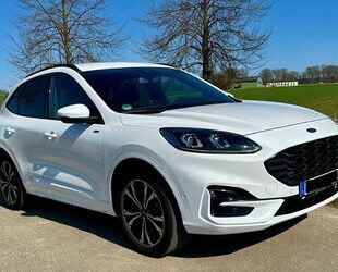 Ford Kuga Gebrauchtwagen
