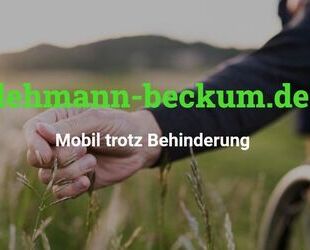 VW Crafter Gebrauchtwagen