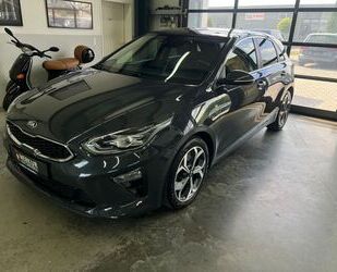Kia ceed / Ceed Gebrauchtwagen