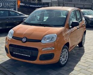 Fiat Panda Gebrauchtwagen