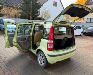 Fiat Panda Gebrauchtwagen