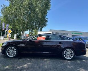 Jaguar XJ Gebrauchtwagen