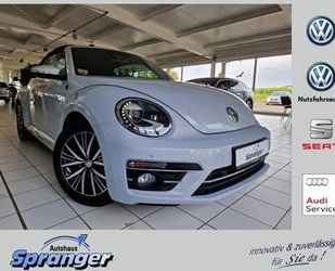 VW Beetle Gebrauchtwagen