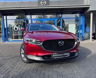 Mazda CX-30 Gebrauchtwagen