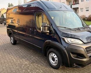 Fiat Ducato Gebrauchtwagen