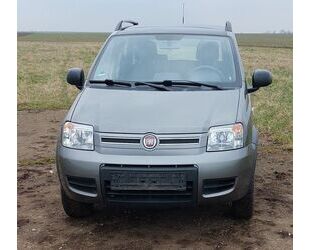 Fiat Panda Gebrauchtwagen