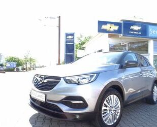 Opel Opel Grandland (X) Kamera NSW ALU`S Sitzheizung Gebrauchtwagen