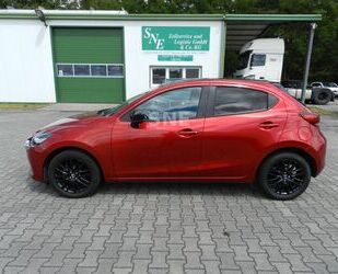Mazda 2 Gebrauchtwagen