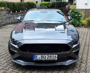 Ford Mustang Gebrauchtwagen