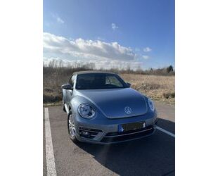 VW Beetle Gebrauchtwagen
