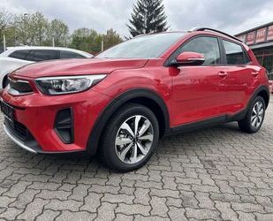 Kia Stonic Gebrauchtwagen