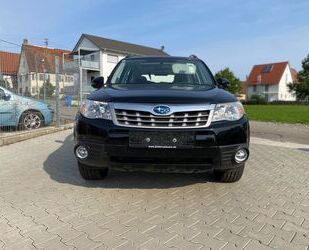 Subaru Forester Gebrauchtwagen