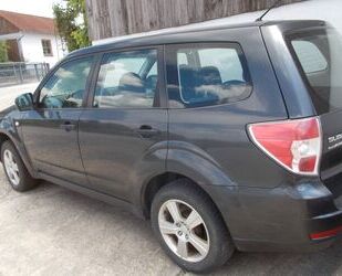 Subaru Forester Gebrauchtwagen