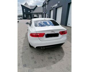 Jaguar XE Gebrauchtwagen