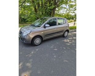 Kia Picanto Gebrauchtwagen