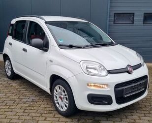 Fiat New Panda Gebrauchtwagen